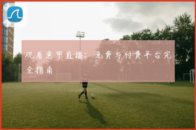 观看意甲直播：免费与付费平台完全指南