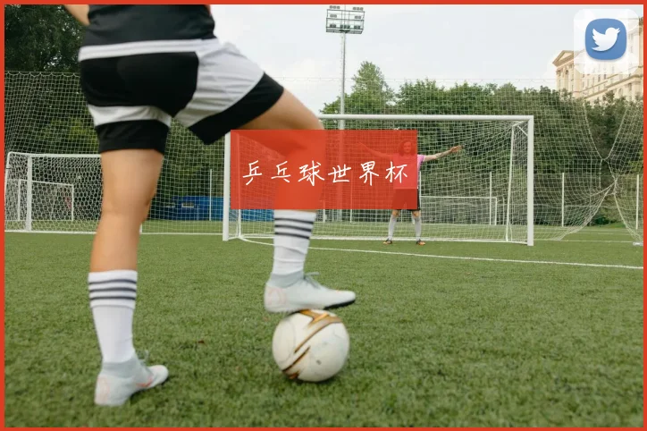 乒乓球世界杯